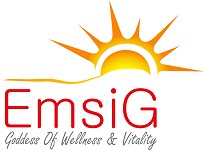 EmsiG Project